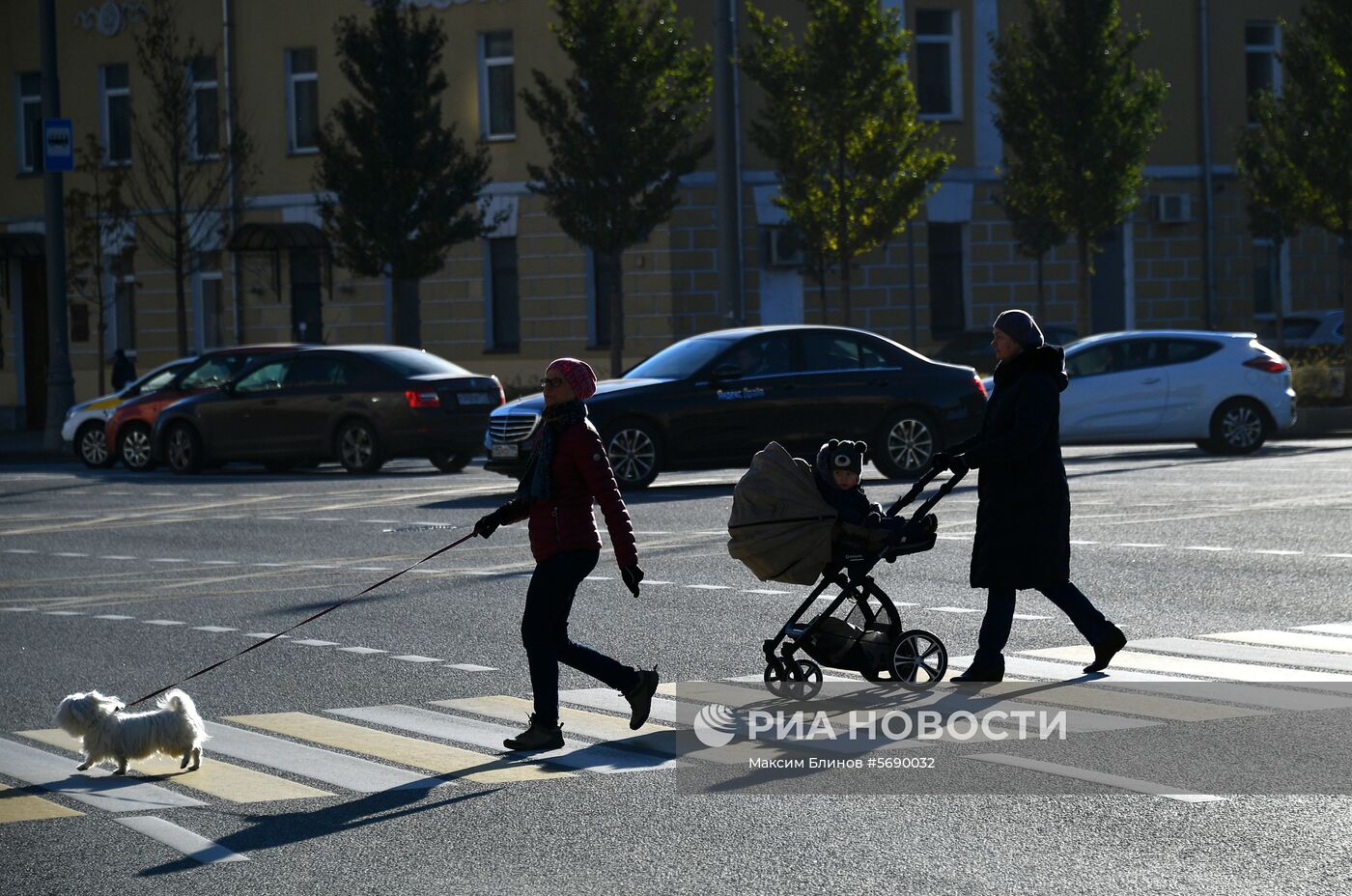 Дорожные знаки и разметка на московских дорогах