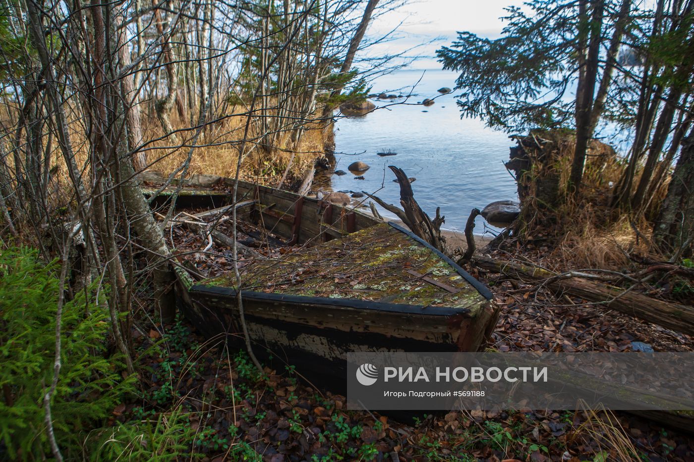 Регионы России. Карелия