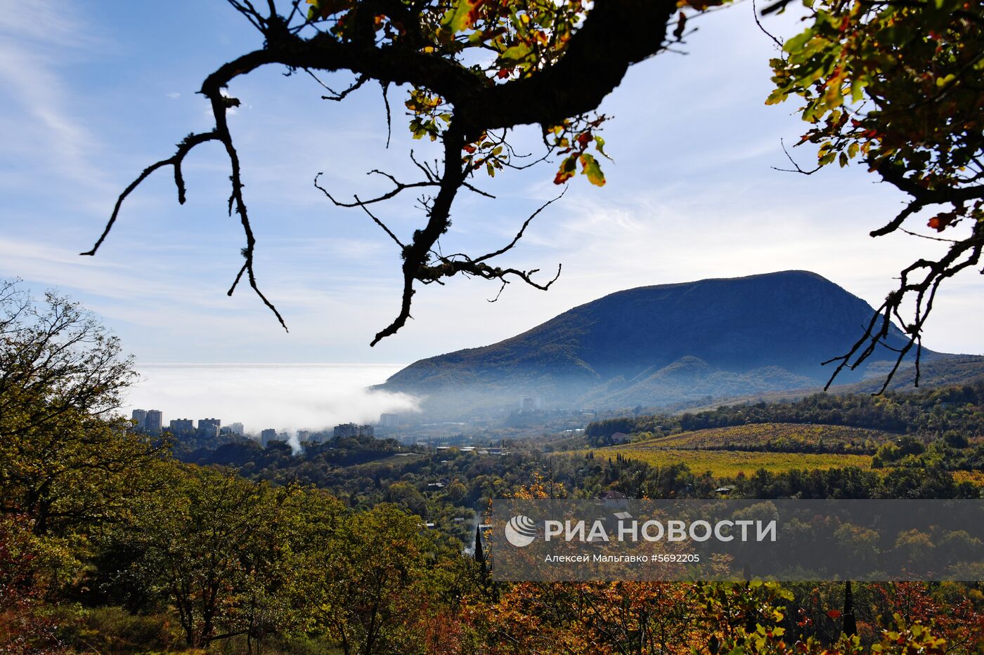 Регионы России. Крым