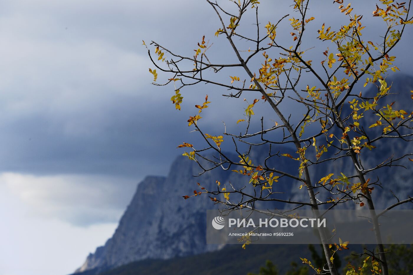 Регионы России. Крым