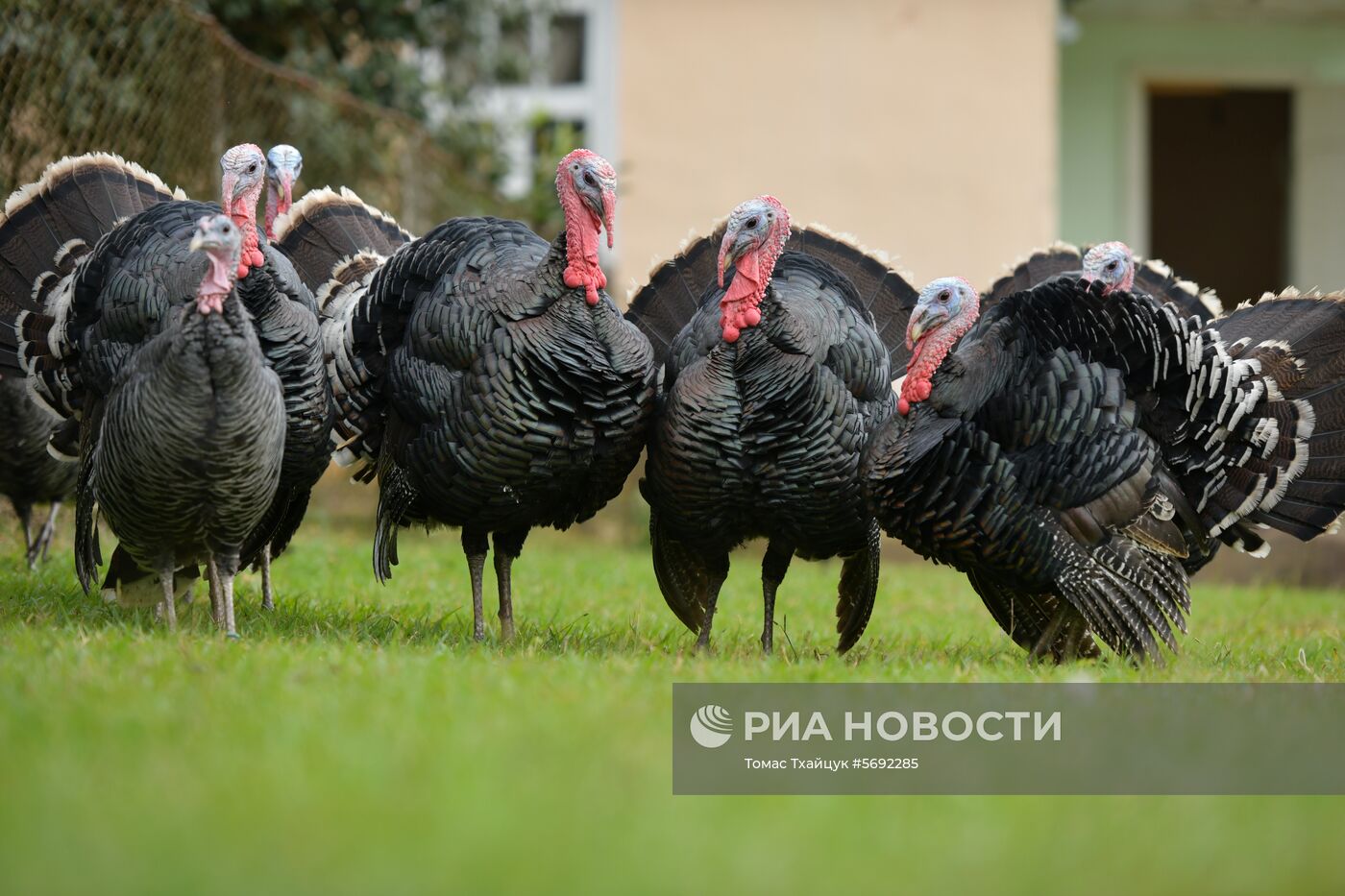 Село Ачандара в Абхазии