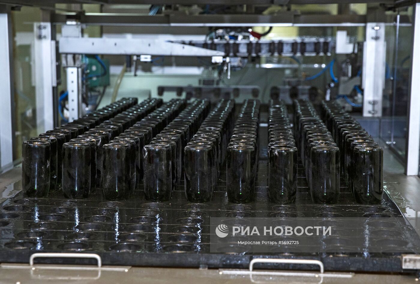 Цех производства игристых вин в Крикове. "Крикова" - винодельческий комбинат по производству игристых и марочных вин. Здесь расположена Национальная коллекция вин с дегустационными залами. Винотека насчитывает более миллиона бутылок, включая кроме молдавских уникальные французские, итальянские, испанские и другие зарубежные образцы вин. Место: Молдавия. Автор: Мирослав Ротарь/Sputnik/РИА Новости. Криковские винные подвалы в Молдавии