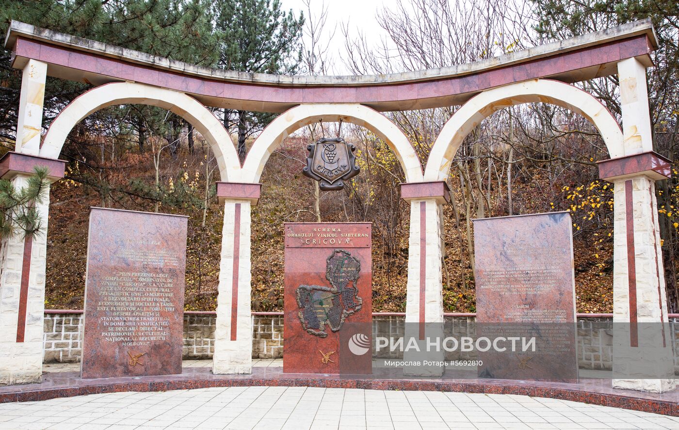 Винодельческий комбинат по производству игристых и марочных вин "Крикова". Здесь расположена Национальная коллекция вин с дегустационными залами. Винотека насчитывает более миллиона бутылок, включая кроме молдавских уникальные французские, итальянские, испанские и другие зарубежные образцы вин. Место: Молдавия. Автор: Мирослав Ротарь/Sputnik/РИА Новости. Криковские винные подвалы в Молдавии