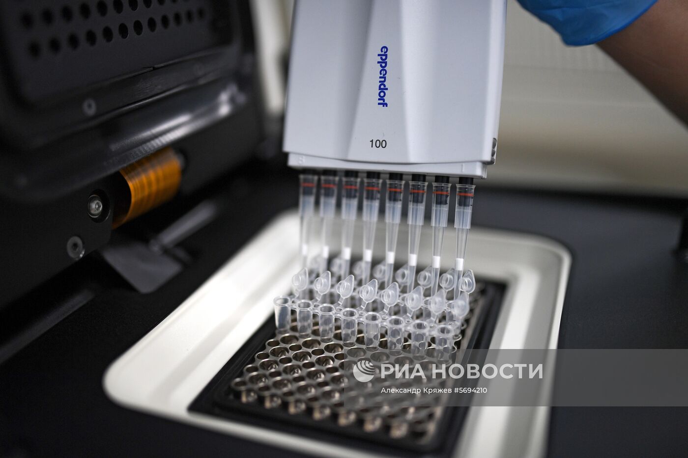 Сибирский федеральный университет в Красноярске 