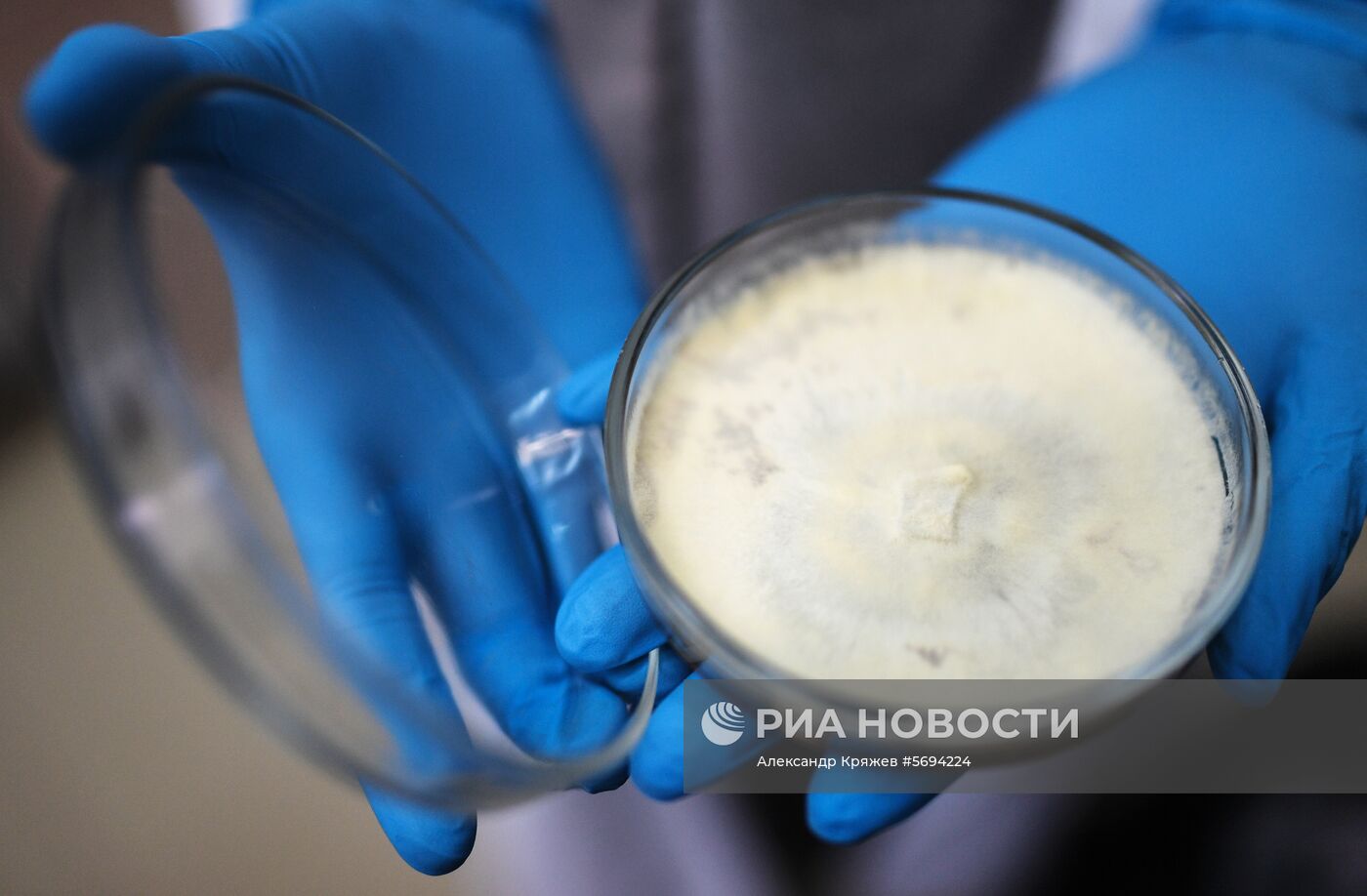 Сибирский федеральный университет в Красноярске 