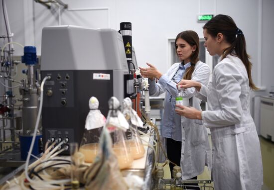 Сибирский федеральный университет в Красноярске 