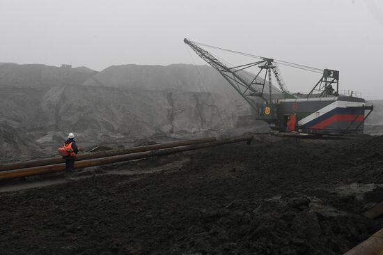 Добыча янтаря в Калининградской области