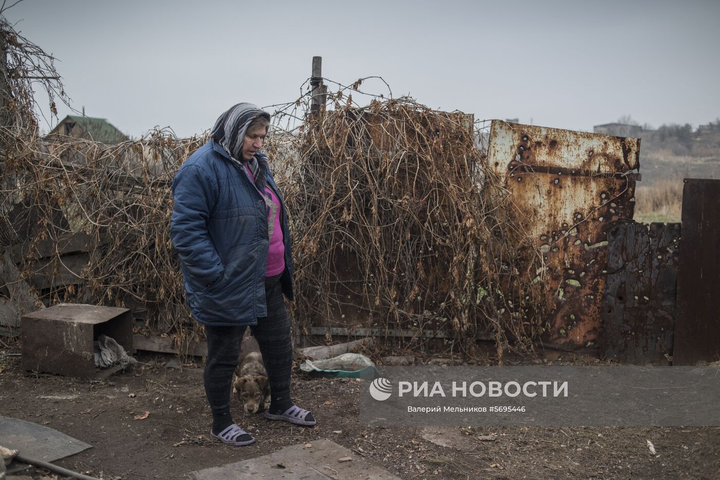 Жители Донецкой области