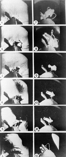 Выход в открытый космос летчика-космонавта СССР А. Леонова