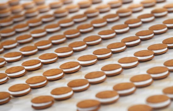 Производство кондитерских изделий ООО "Орион Интернейшнл Евро"