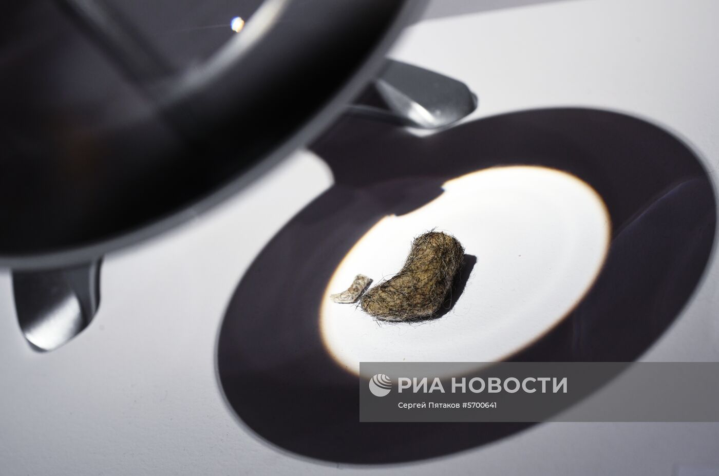 Выставка "Валенки. От царских дворцов до модных подиумов"