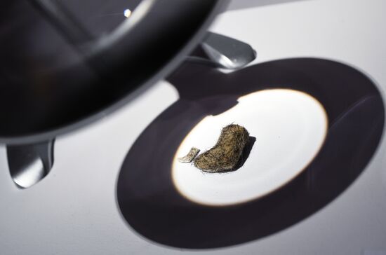 Выставка "Валенки. От царских дворцов до модных подиумов"