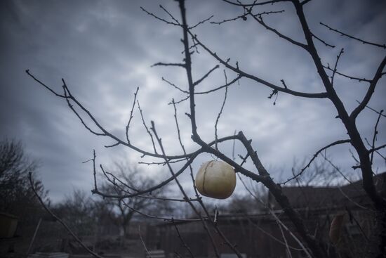 Ситуация в поселках Саханка и Зайцево Донецкой области