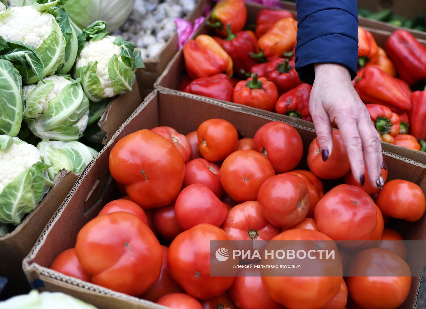 Сельскохозяйственная ярмарка в Симферополе