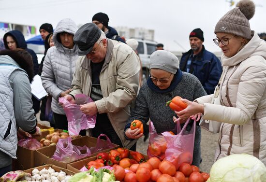 Сельскохозяйственная ярмарка в Симферополе