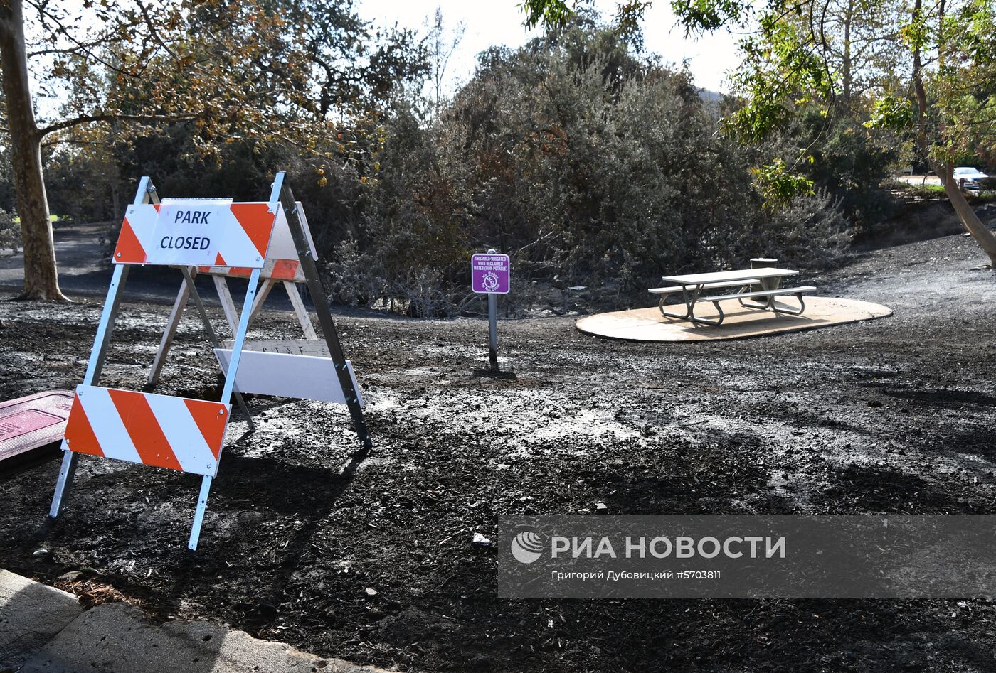Последствия лесных пожаров в Калифорнии