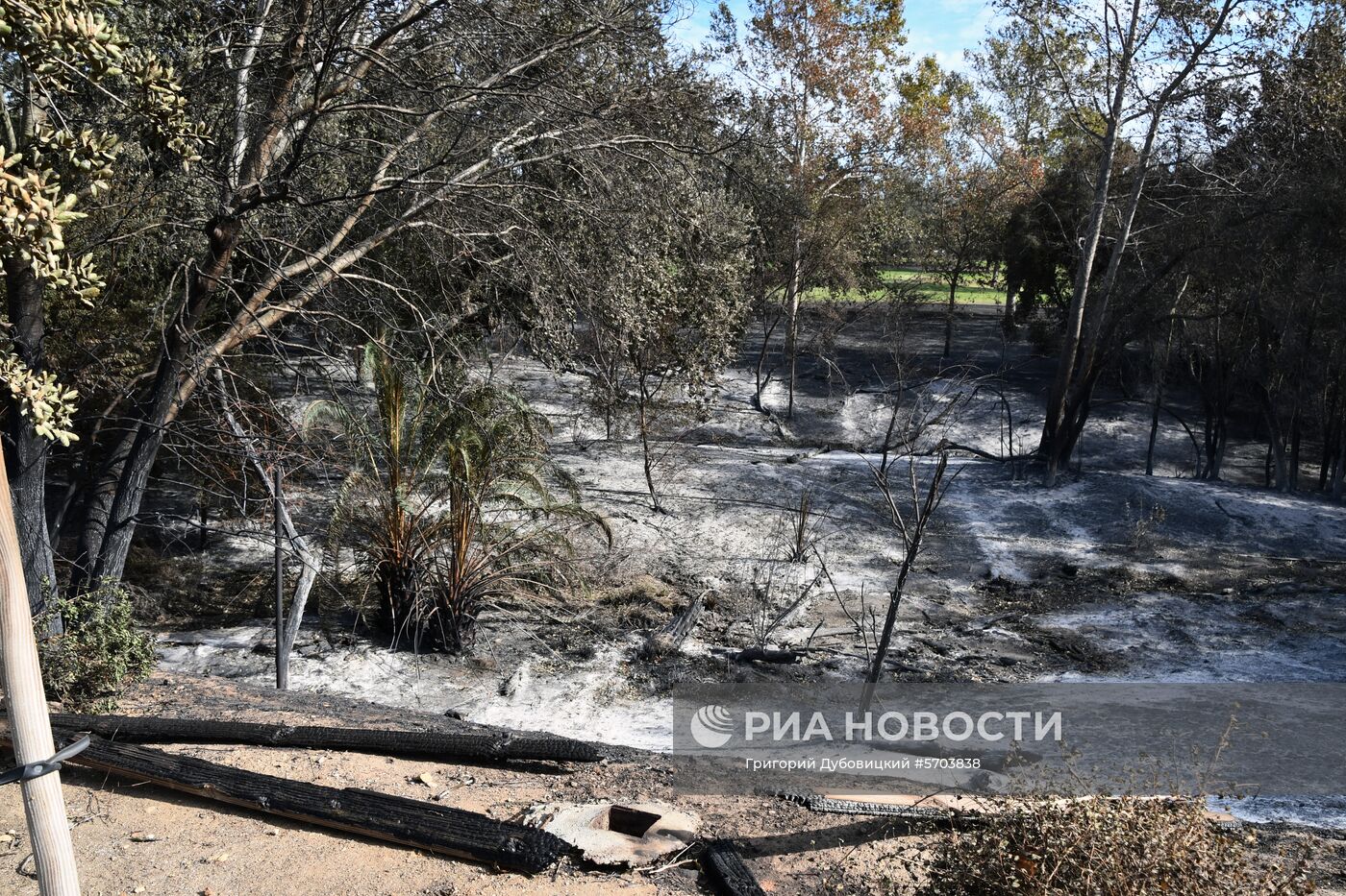 Последствия лесных пожаров в Калифорнии