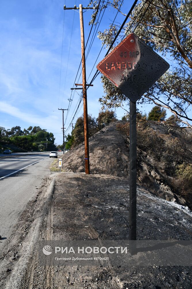 Последствия лесных пожаров в Калифорнии