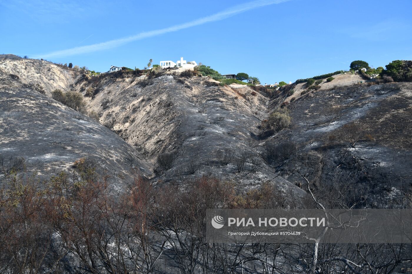 Последствия лесных пожаров в Калифорнии