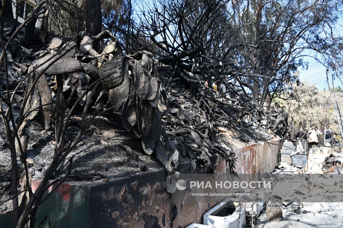 Последствия лесных пожаров в Калифорнии