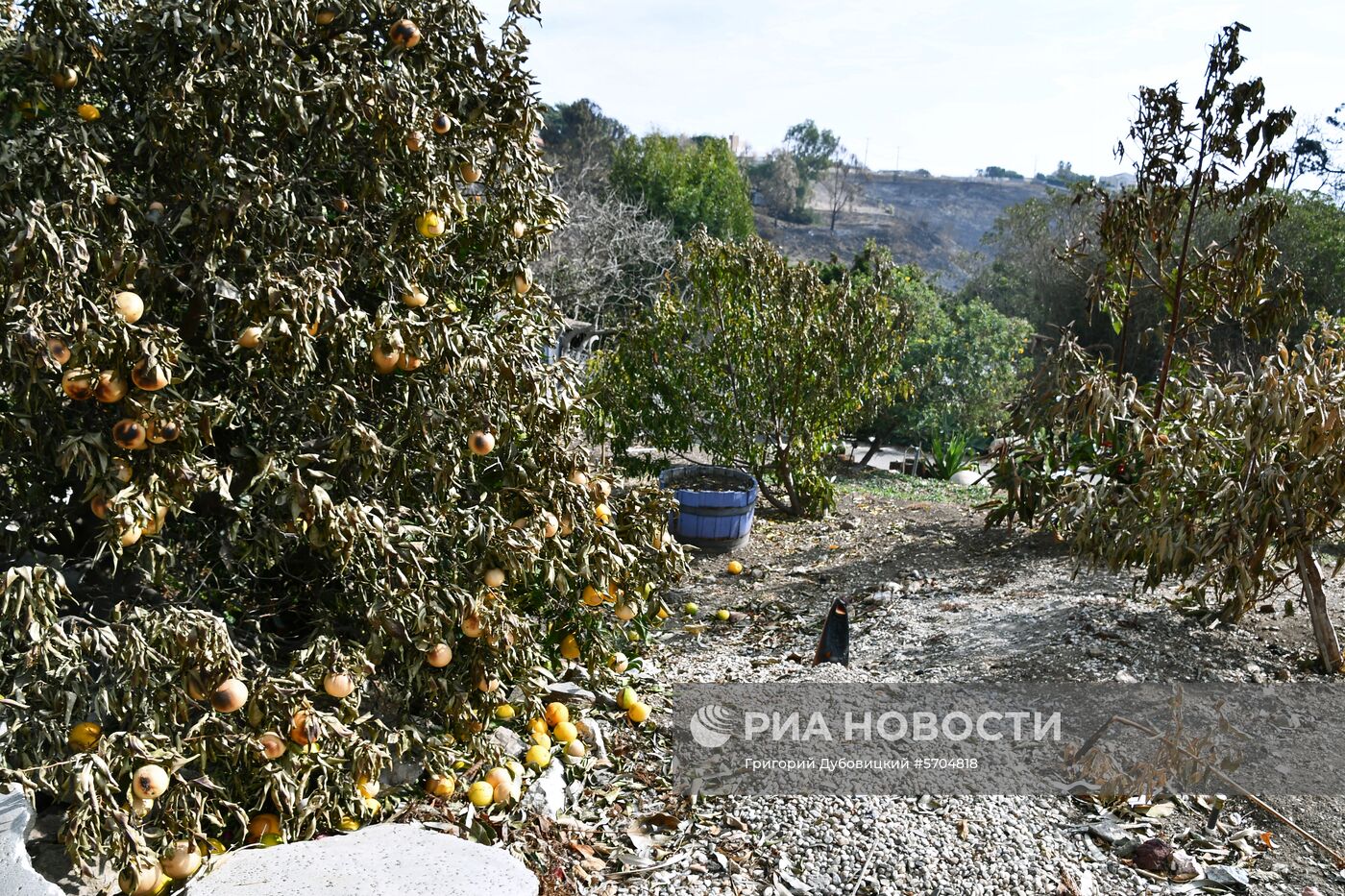 Последствия лесных пожаров в Калифорнии