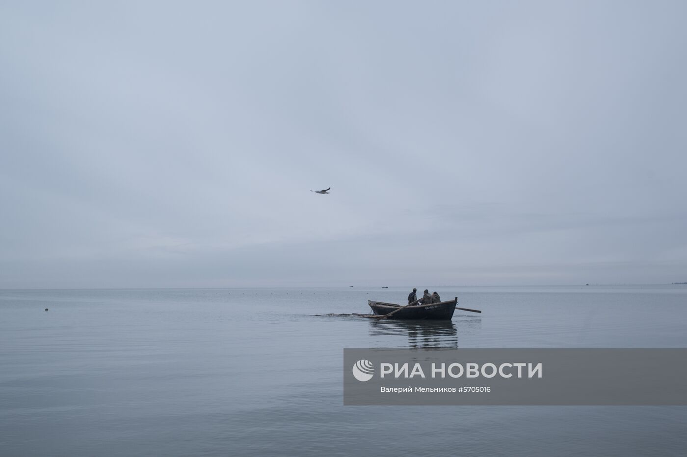 Ситуация в Донецкой области