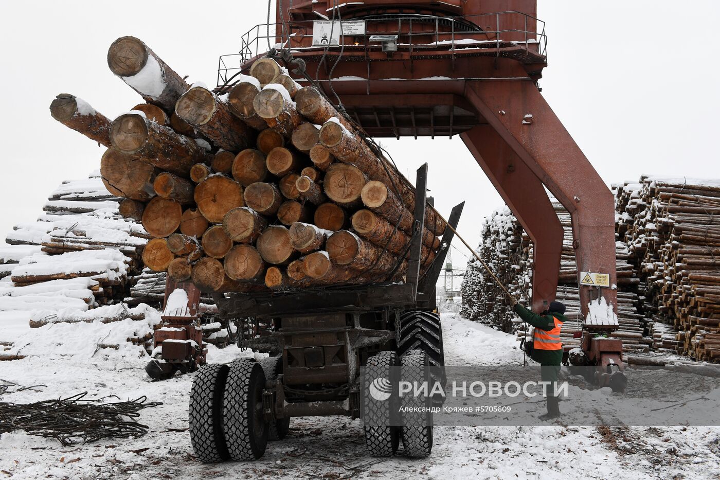 Заготовка леса в Красноярском крае