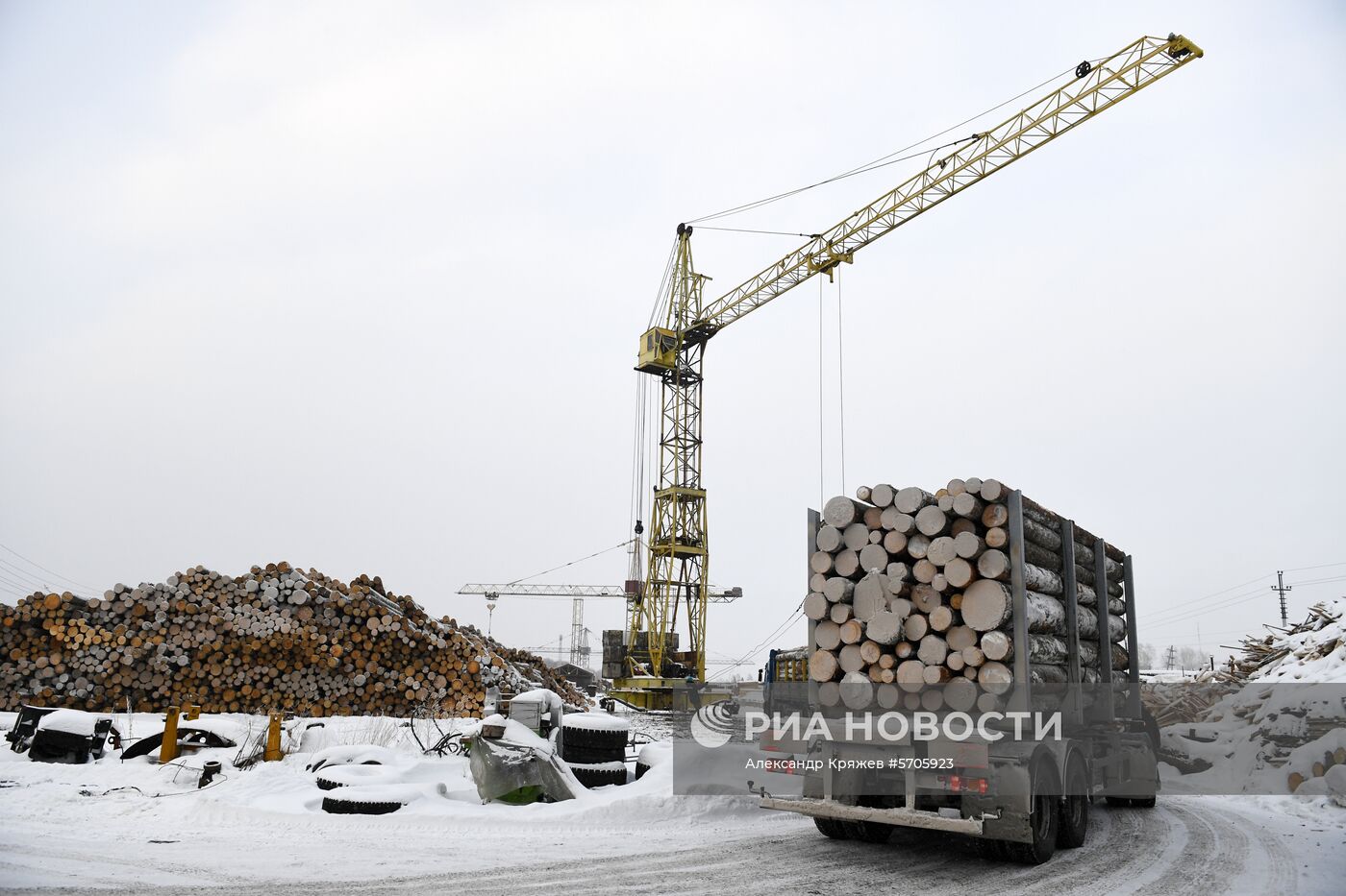 Заготовка леса в Красноярском крае