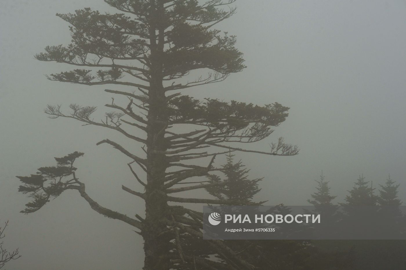 Остров Шикотан
