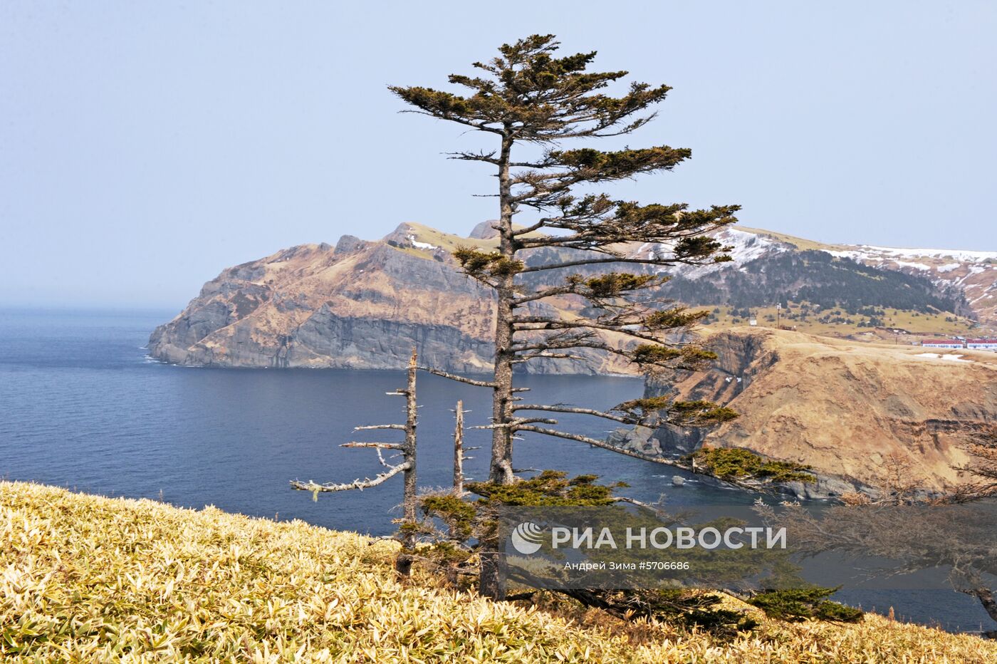 Остров Шикотан Сахалинской области. Самый крупный остров Малой гряды Курильских островов. Место: Россия, Сахалинская область. Автор: Андрей Зима/РИА Новости. Остров Шикотан