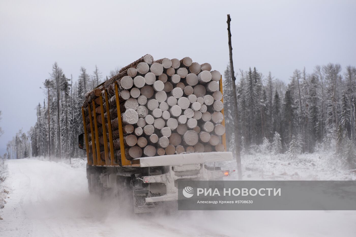 Лесопильное производство АО "Краслесинвест" в Красноярском крае