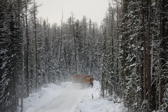 Лесопильное производство АО "Краслесинвест" в Красноярском крае