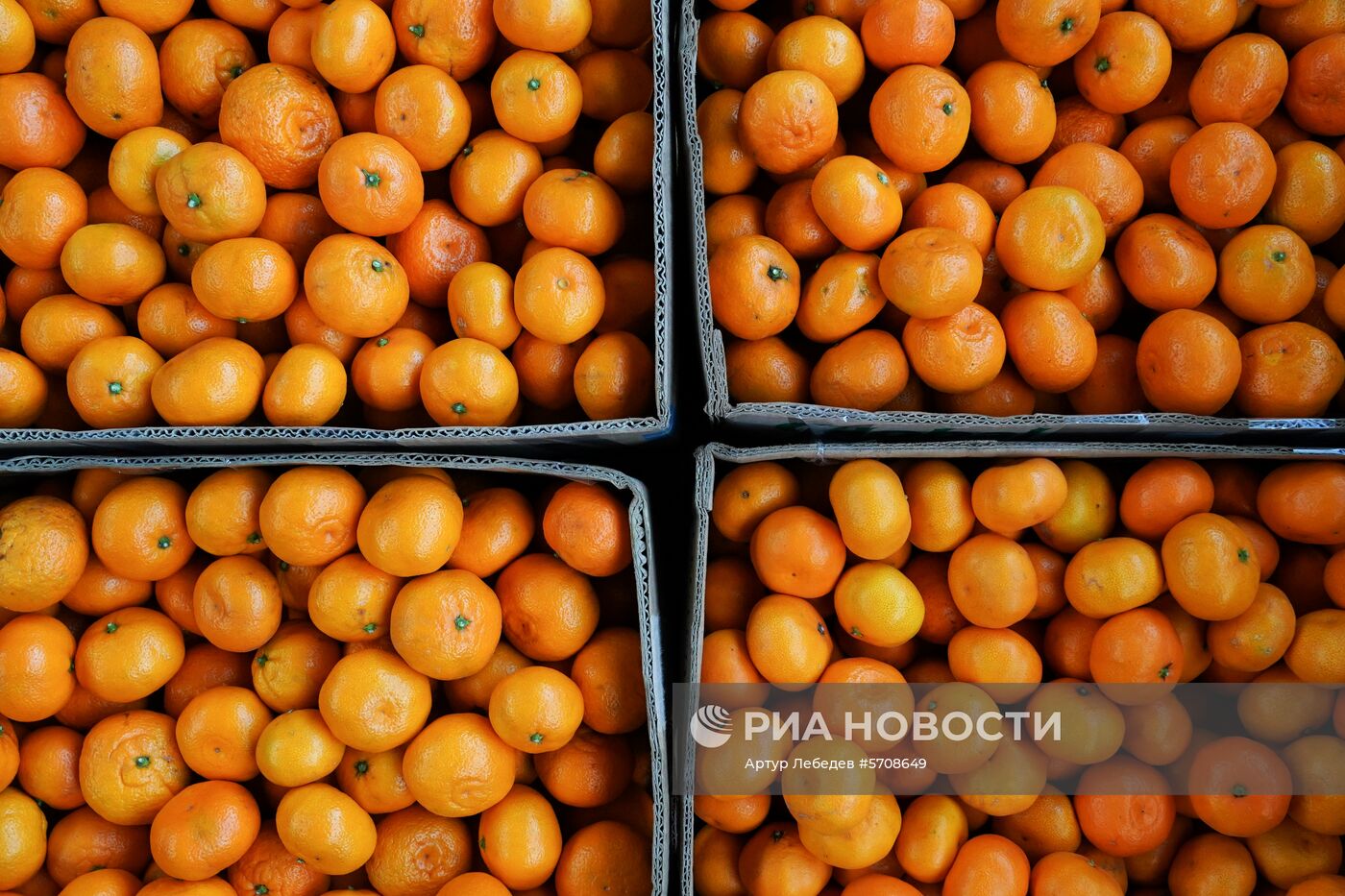 Продажа мандаринов на границе России и Абхазии в Краснодарском крае