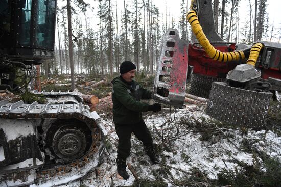 Лесопильное производство АО "Краслесинвест" в Красноярском крае