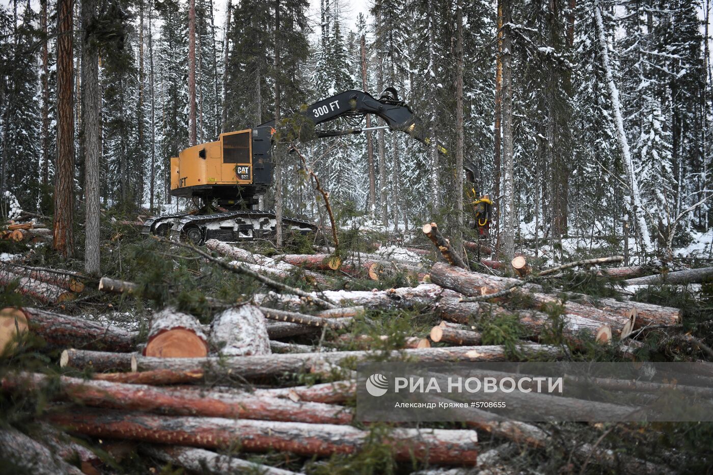 Лесопильное производство АО "Краслесинвест" в Красноярском крае