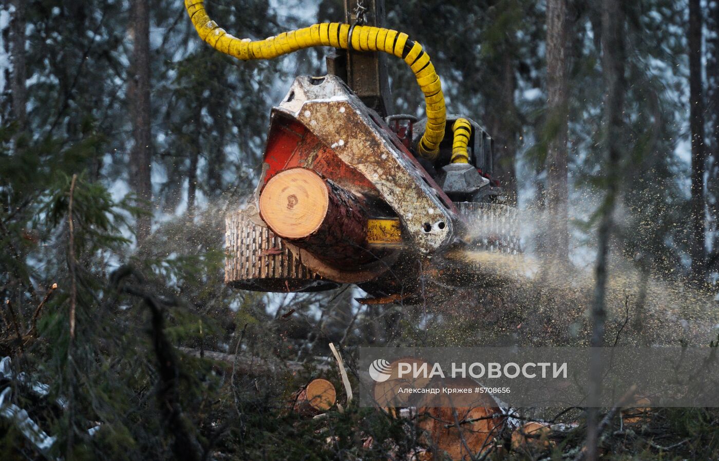 Лесопильное производство АО "Краслесинвест" в Красноярском крае