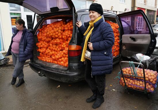 Продажа мандаринов на границе России и Абхазии в Краснодарском крае