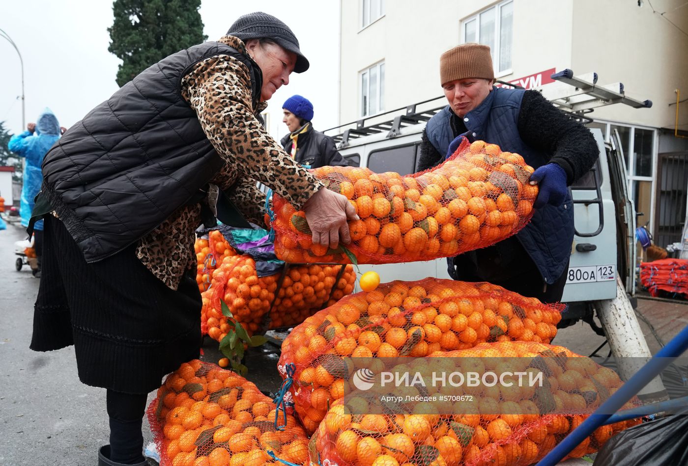 Продажа мандаринов на границе России и Абхазии в Краснодарском крае
