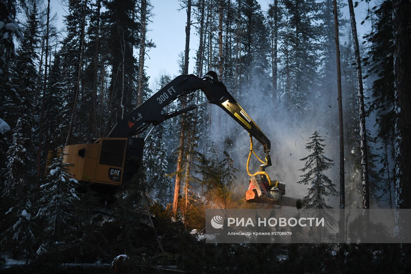 Лесопильное производство АО 