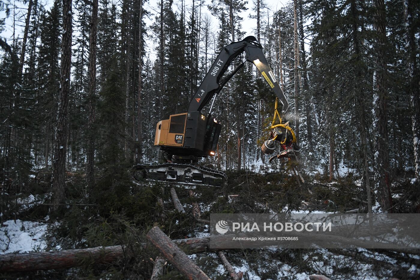 Лесопильное производство АО 