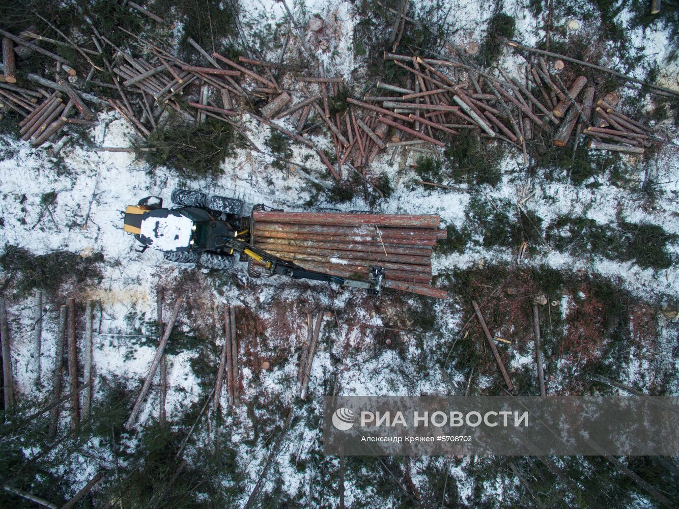 Лесопильное производство АО "Краслесинвест" в Красноярском крае