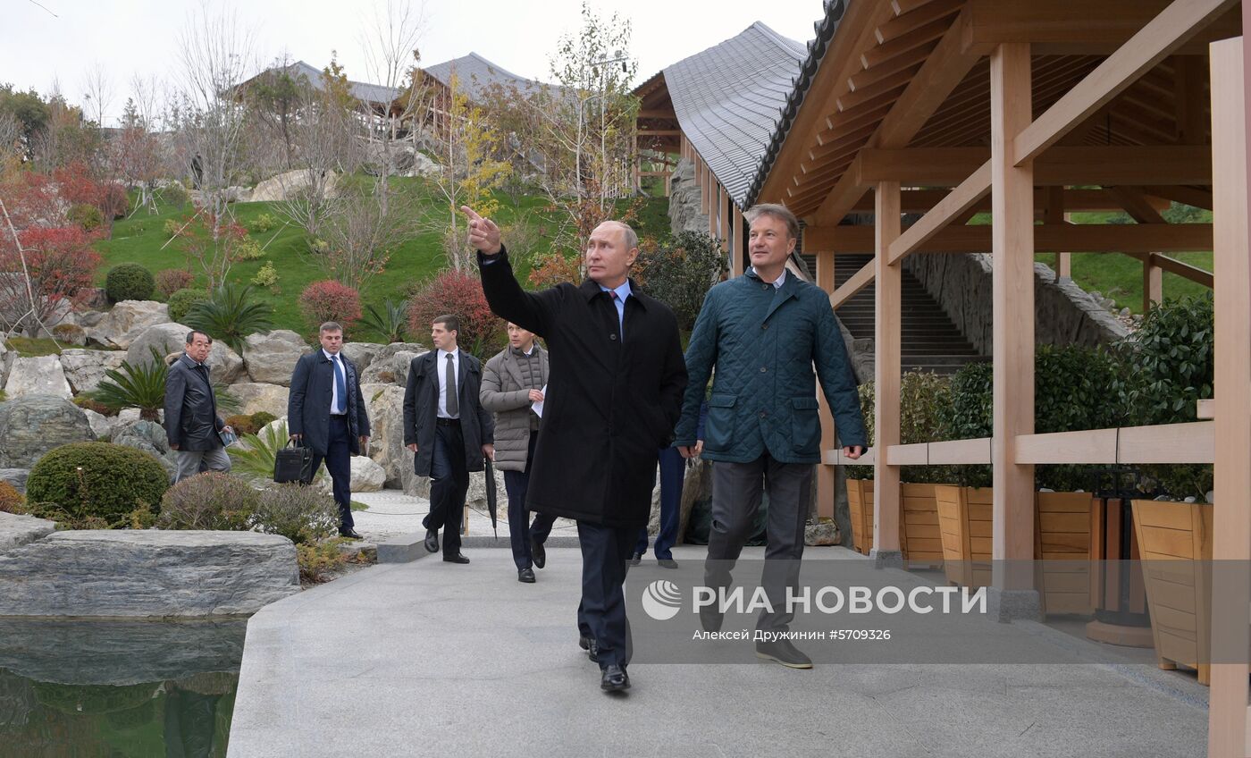 Рабочая поездка президента РФ В. Путина в Южный федеральный округ