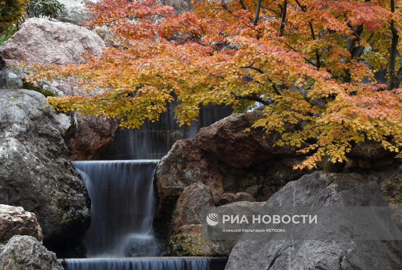 Открытие японского сада в Крыму