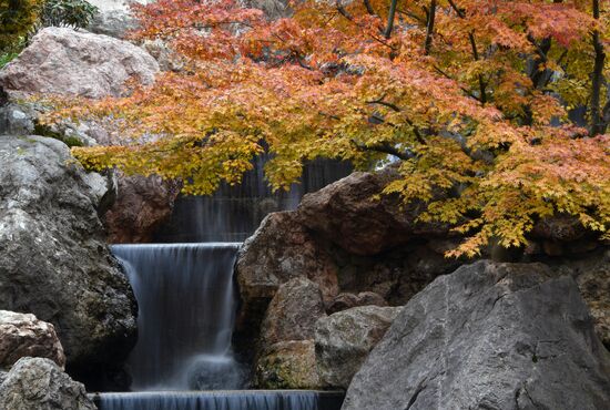 Открытие японского сада в Крыму