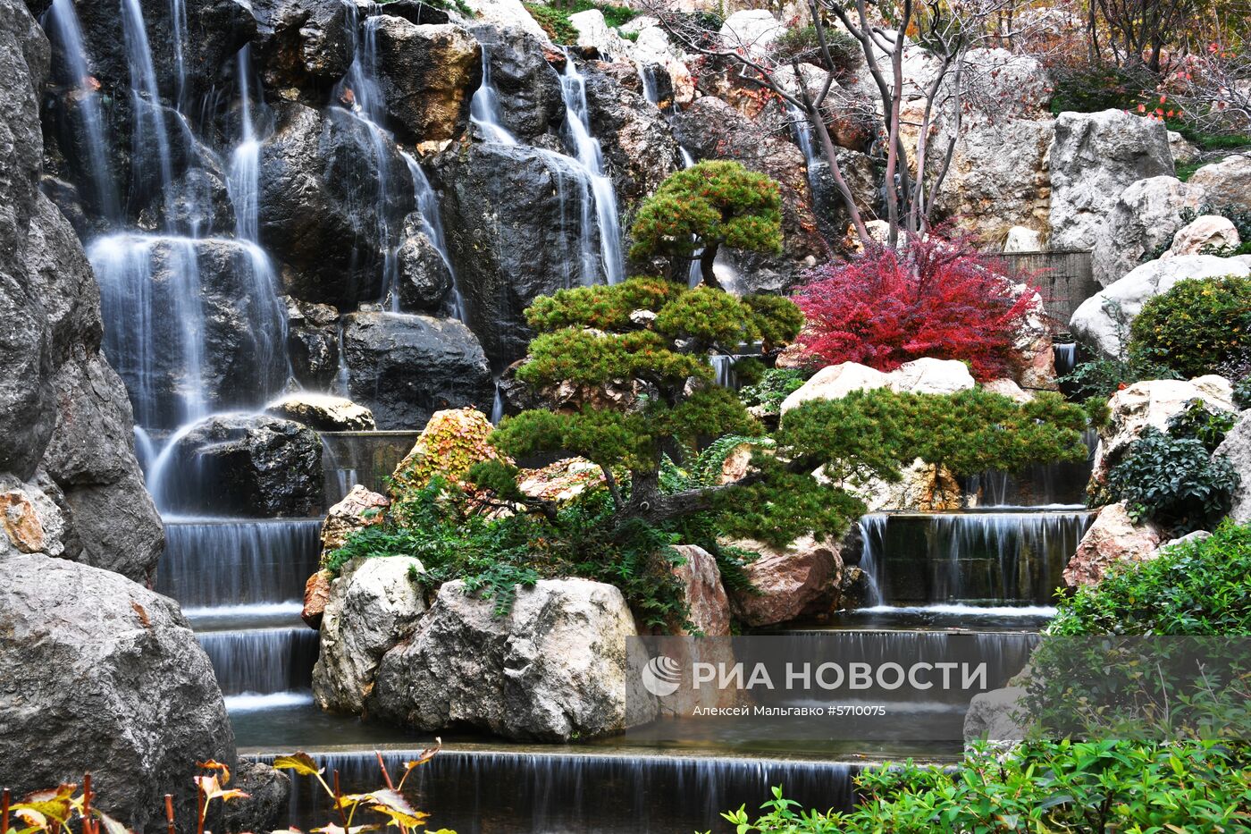 Открытие японского сада в Крыму