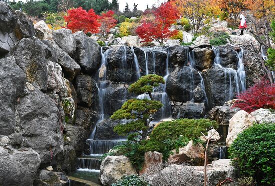 Открытие японского сада в Крыму