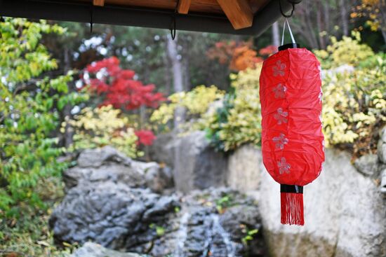 Открытие японского сада в Крыму