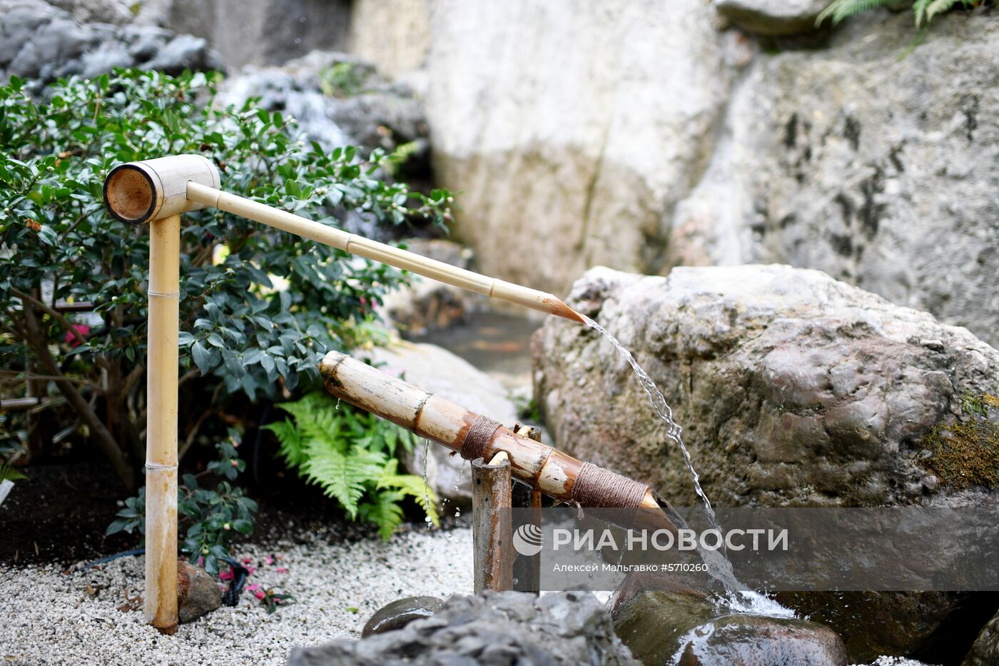 Открытие японского сада в Крыму