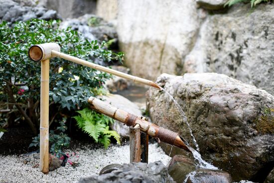 Открытие японского сада в Крыму