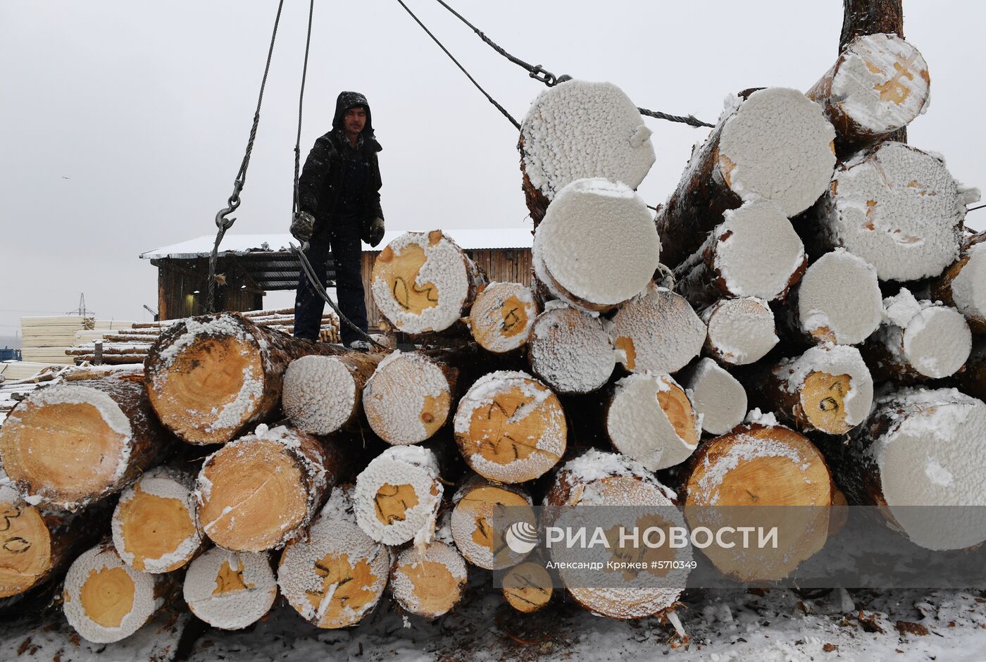 Частные лесоперерабатывающие предприятия в Красноярском крае